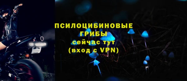 Альфа ПВП Магадан